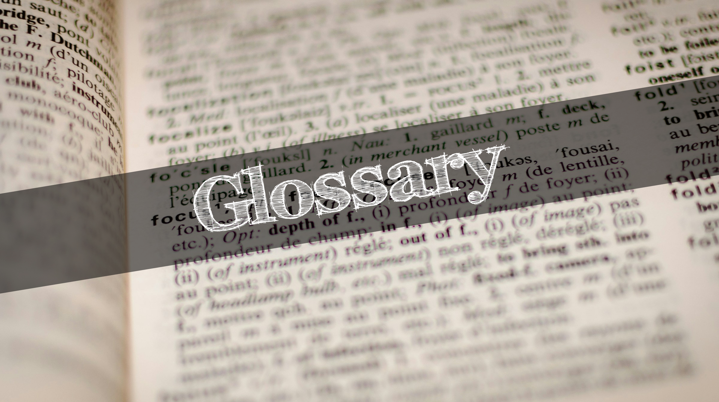 Glossary